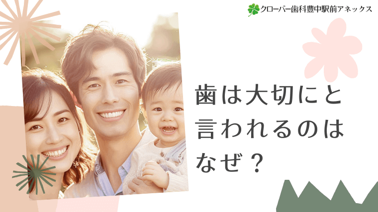 歯は大切にと言われるのはなぜ？